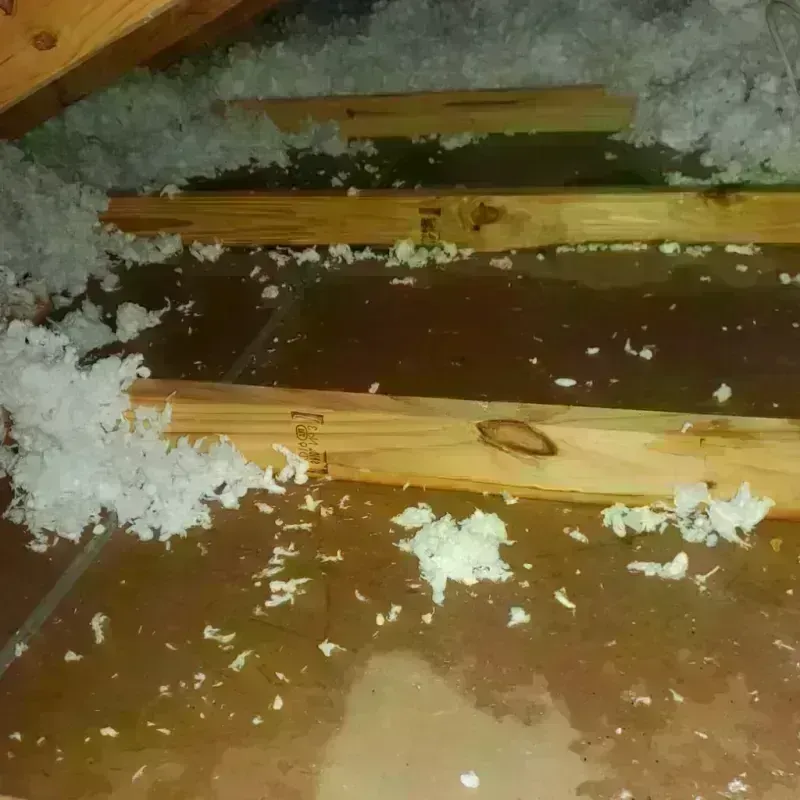 Attic Water Damage in Oakdale, MN