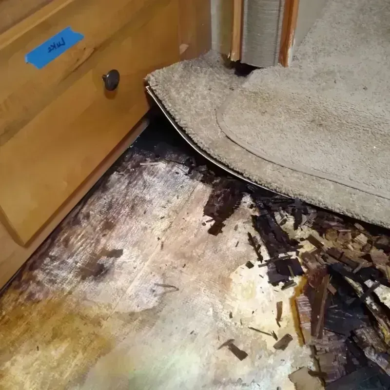 Best Wood Floor Water Damage Service in Oakdale, MN